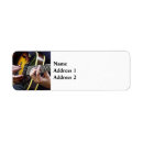 Search for musician return address labels Strings