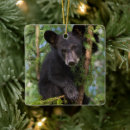 Search for cub christmas tree decorations Wild animals