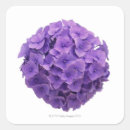 Search for paper cut out stickers Close up