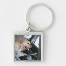 Search for labrador key rings Animal