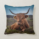 Search for scottish highland cow decor Farmer