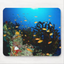 Search for viewed large mousepads Animal
