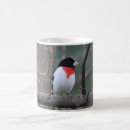 Search for red breasted mugs Bird