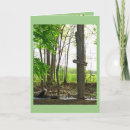 Search for relax cards Fishing