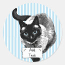 Search for siamese cats stickers Funny cat
