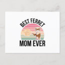 Search for ferret postcards Animals