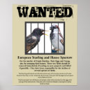 Search for pest posters Nature