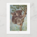 Search for bear illustration postcards Koala