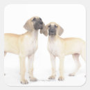 Search for side by side stickers Full length