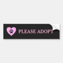 Search for pink cats bumper stickers Car