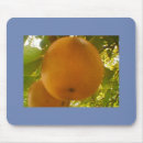 Search for thanksgiving mousepads Pink