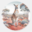 Search for kangaroo marsupial stickers Down under