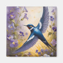 Search for swallow magnets Flowers