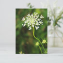 Search for blank vertical note cards Botanical