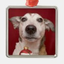 Search for jack russell dog christmas tree decorations Animals