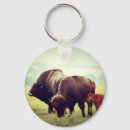 Search for american bison key rings United states