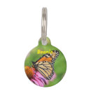 Search for bugs pet supplies Butterfly