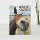 Search for funny donkey birthday cards Cute
