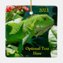 Search for iguana christmas tree decorations Pet