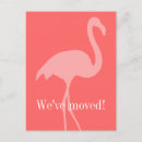 Search for flamingo moving announcement cards We've moved