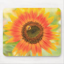 Search for danita delimont mousepads Stuart westmorland