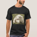 Search for lambs Flock
