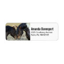 Search for wild horse return address labels Horses