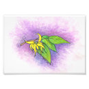 Search for aromatherapy posters Illustration