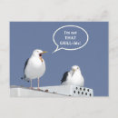 Search for funny seagull postcards Ocean