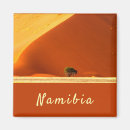 Search for namibia magnets Nature