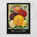 Search for flower seeds postcards Vintage