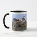 Search for osprey mugs Wildlife