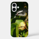 Search for bahamas iphone cases Tropical