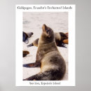 Search for relax posters Sea