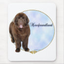 Search for newfoundland mousepads Landseer