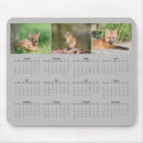 Search for chipmunks electronics Nature