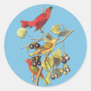 Search for john audubon stickers Bird