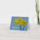Search for easter daffodils Springtime