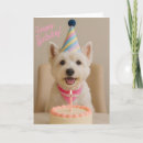 Search for westie birthday cards West highland terrier