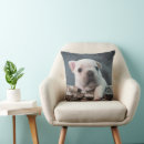 Search for french bulldog puppy cushions Young animal