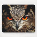 Search for owl mousepads animal