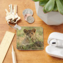 Search for lion cubs key rings Big cat