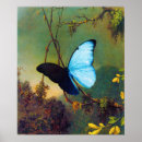 Search for martin johnson heade posters Blue morpho butterfly