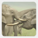 Search for asian elephant stickers Corbett