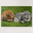 Search for easter puzzles Animal