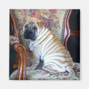 Search for shar pei magnets Wrinkles