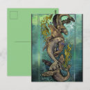 Search for sealion postcards Seals
