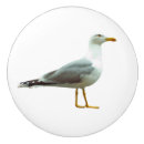 Search for bird knobs and pulls Funny