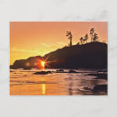 Search for washington state parks postcards Olympic national park