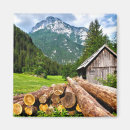 Search for logging magnets Forest